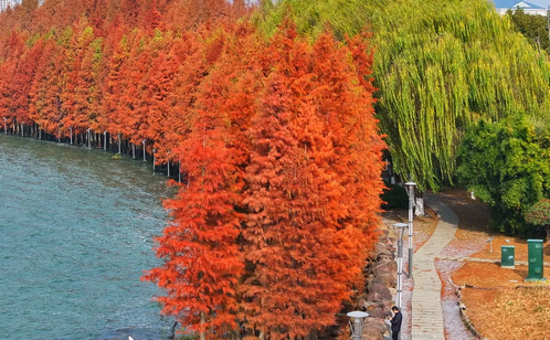 http://www.phrsbx.cn/szgyyq/jsdt/202502/4d9d20e72c7d425cada95f797a1e160f/images/98a21992ddb44b309b353f6216cb0598.png